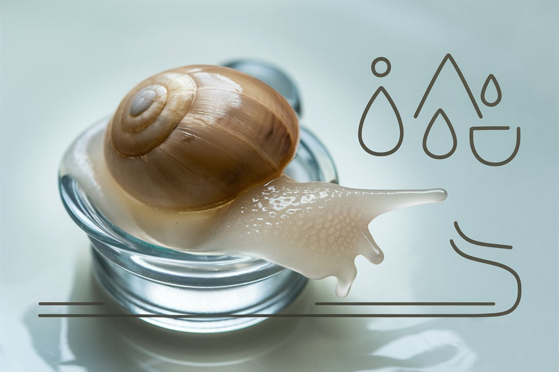 The Marvels of Snail Mucin in Skincare